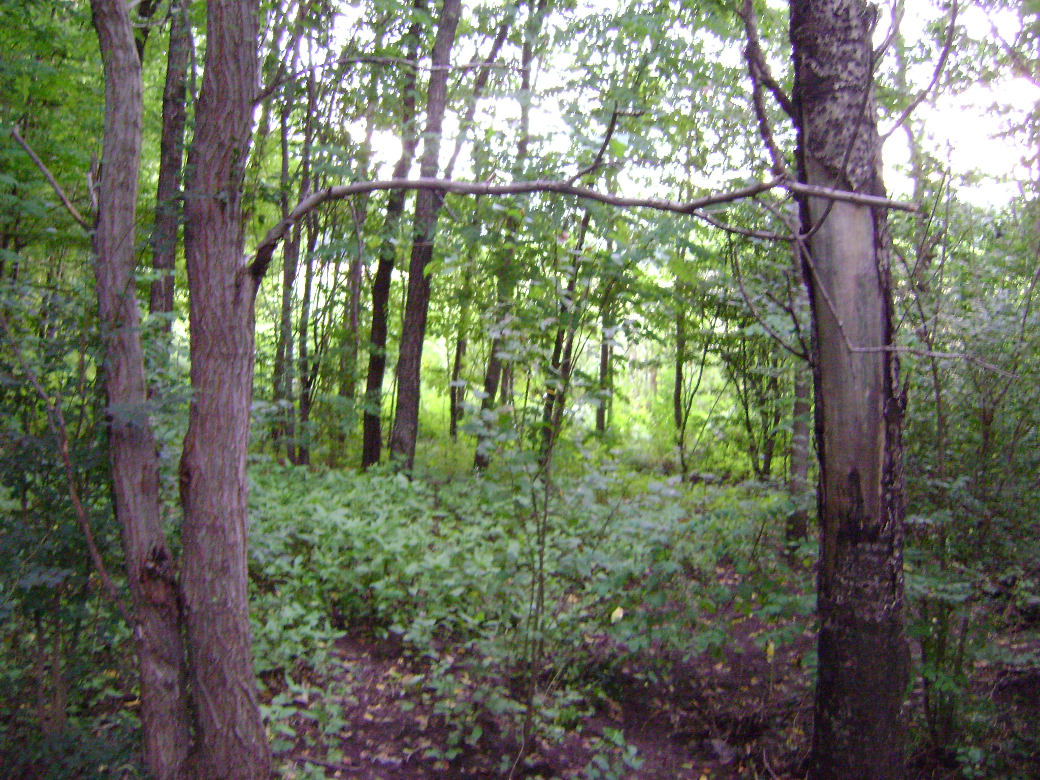 fotos/2011 - Los Reartes/DSC03489.JPG